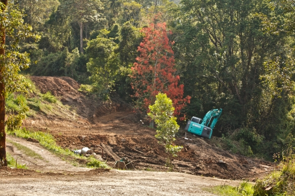 The earth moving guy was here making a new road after heavy floods in 2010. He cleared a pad for us in no time at all...